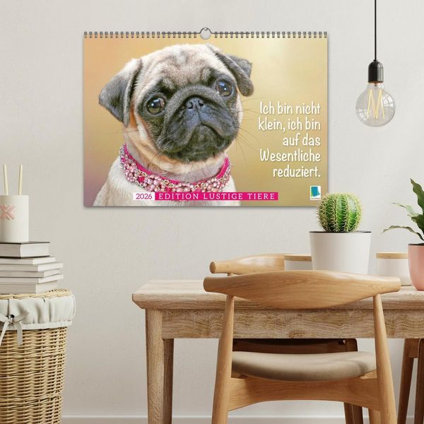 Produktbild: Der Mops: Nicht klein, sondern aufs Wesentliche reduziert. (Wandkalender 2026 DIN A3 quer), CALVENDO Monatskalender