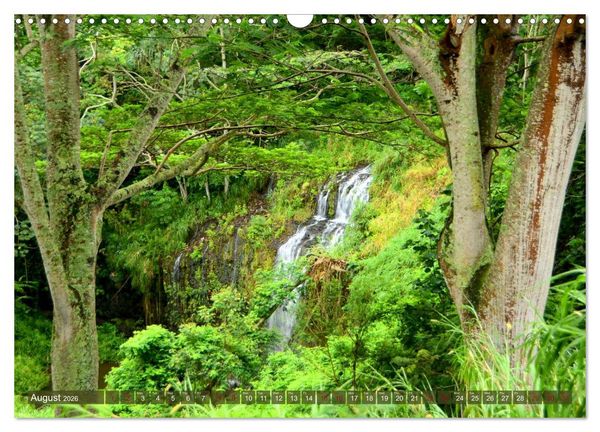 Produktbild: The Paradise of Hawaii (Wall Calendar 2026 DIN A3 landscape), CALVENDO 12 Month Wall Calendar