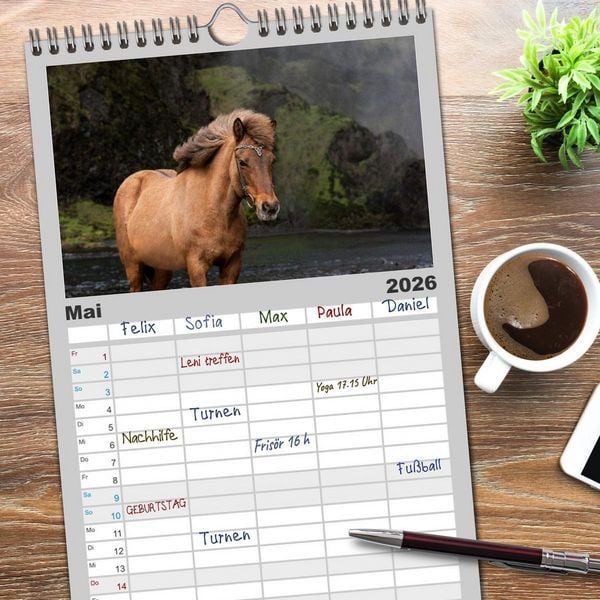 Produktbild: Familienplaner 2026 - Islandpferde Kalender - Pferde von der Insel aus Feuer und Eis mit 5 Spalten (Wandkalender, 21 x 45 cm) CALVENDO