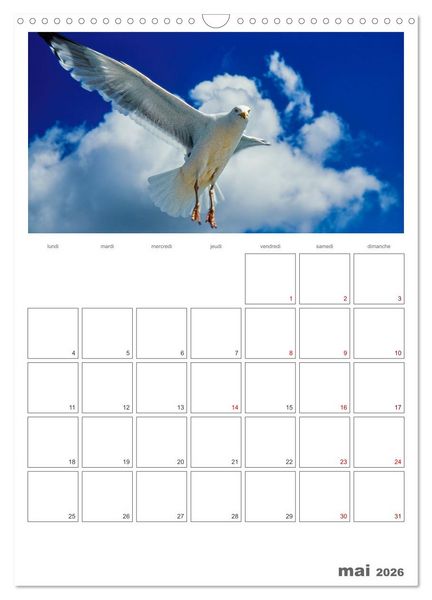 Produktbild: Notre nature sauvage, oiseaux aquatiques d'Europe (Calendrier mural 2026 DIN A3 horizontal), CALVENDO calendrier mensuel