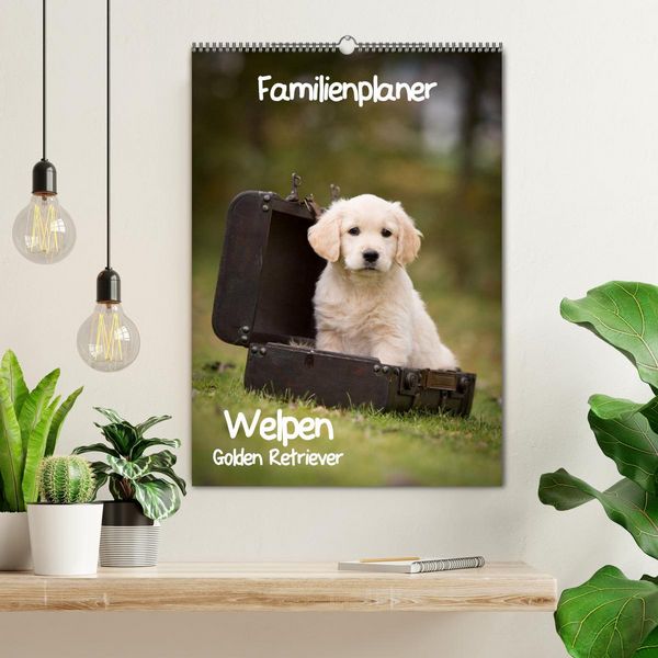 Produktbild: Familienplaner: Golden Retriever Welpen (Wandkalender 2026 DIN A2 hoch), CALVENDO Monatskalender
