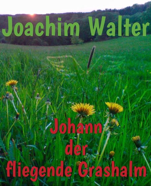 Produktbild: Johann der fliegende Grashalm