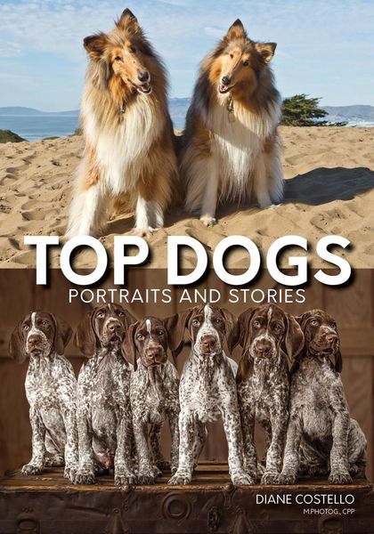 Produktbild: Top Dogs