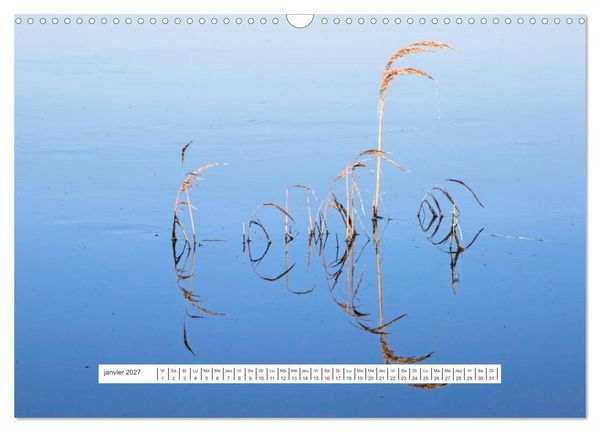 Produktbild: J'adore Le Cotentin (Calendrier mural 2027 DIN A3 vertical), CALVENDO calendrier mensuel