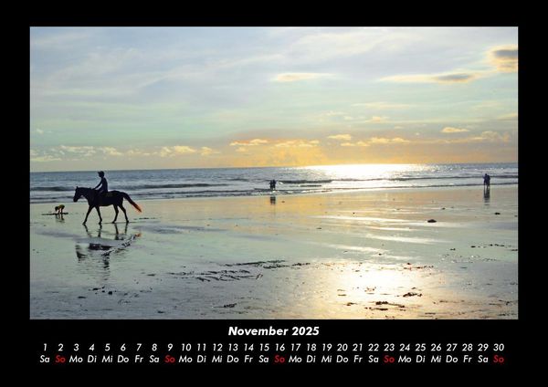 Produktbild: Die Welt der Pferde 2025 Fotokalender DIN A3