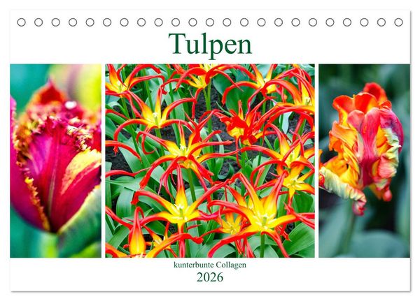 Tulpen - kunterbunte Collagen (Tischkalender 2026 DIN A5 quer), CALVENDO Monatskalender