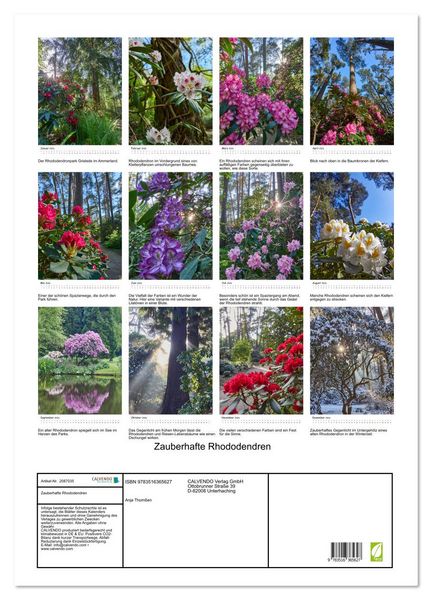 Produktbild: Zauberhafte Rhododendren (Wandkalender 2026 DIN A2 hoch), CALVENDO Monatskalender