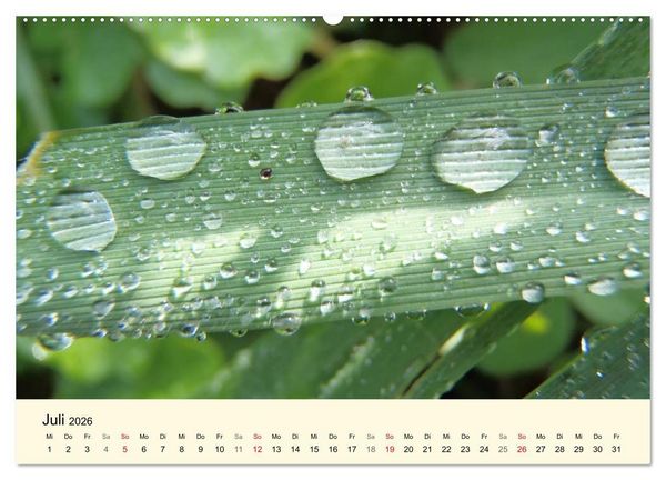 Produktbild: Kraftquelle Gr&uuml;n (hochwertiger Premium Wandkalender 2026 DIN A2 quer), Kunstdruck in Hochglanz
