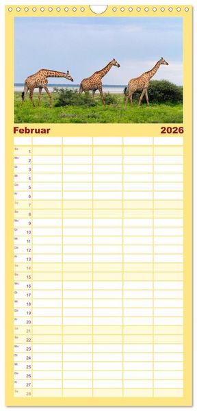 Produktbild: Familienplaner 2026 - Afrikas Tierwelt: Giraffen mit 5 Spalten (Wandkalender, 21 x 45 cm) CALVENDO