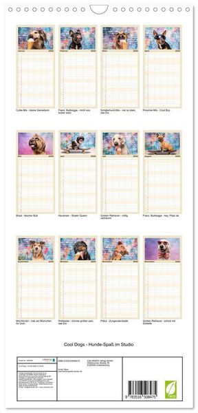Produktbild: Familienplaner 2026 - Cool Dogs - Hunde-Spa&szlig; im Studio mit 5 Spalten (Wandkalender, 21 x 45 cm) CALVENDO