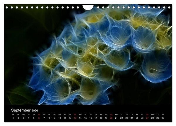 Produktbild: Floral Abstrakt 2026 (Wandkalender 2026 DIN A4 quer), CALVENDO Monatskalender
