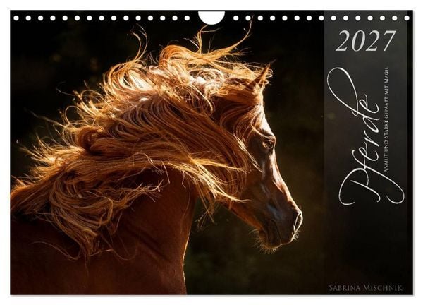 Produktbild: Pferde - Anmut und St&auml;rke gepaart mit Magie (Wandkalender 2027 DIN A4 quer), CALVENDO Monatskalender
