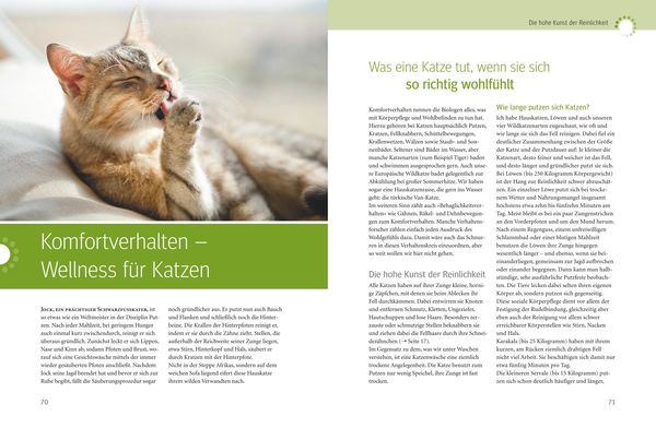 Produktbild: Was Katzen wirklich wollen