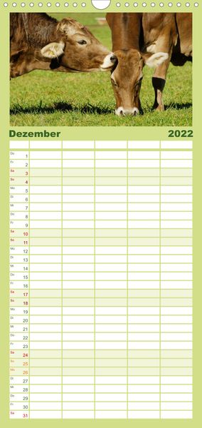 Produktbild: Ein Herz f&uuml;r Rinder - Familienplaner hoch (Wandkalender 2022 , 21 cm x 45 cm, hoch)