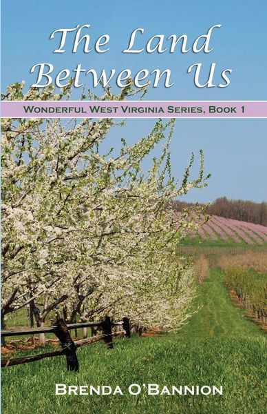 Produktbild: The Land Between Us