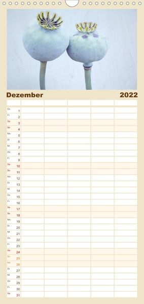 Produktbild: Familienplaner Mohnsch&ouml;nheiten (Wandkalender 2022 , 21 cm x 45 cm, hoch)