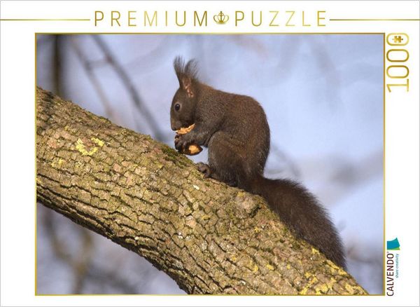 Produktbild: CALVENDO Puzzle Hungriges Eichh&ouml;rnchen | 1000 Teile Lege-Gr&ouml;&szlig;e 64x48cm Foto-Puzzle f&uuml;r gl&uuml;ckliche Stunden