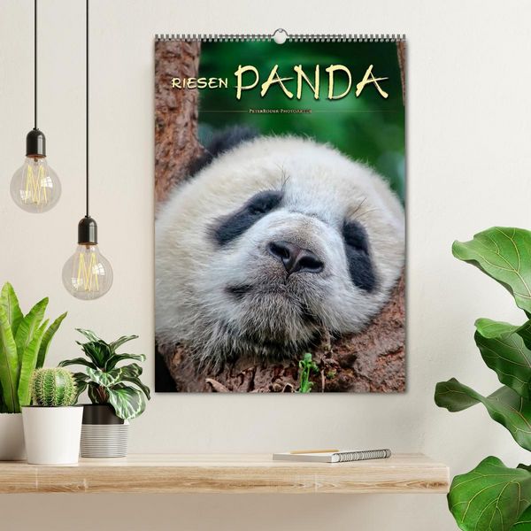Produktbild: Riesenpanda (Wandkalender 2026 DIN A2 hoch), CALVENDO Monatskalender