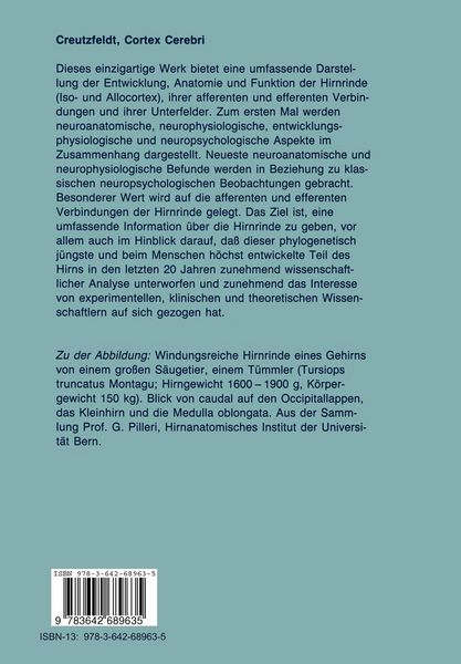 Produktbild: Cortex Cerebri