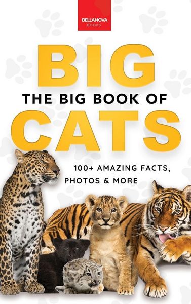 Produktbild: The Big Book of Big Cats