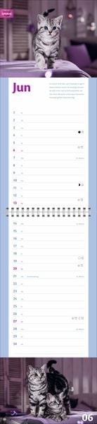 Produktbild: Whiskas Katzenleben Kalender 2027
