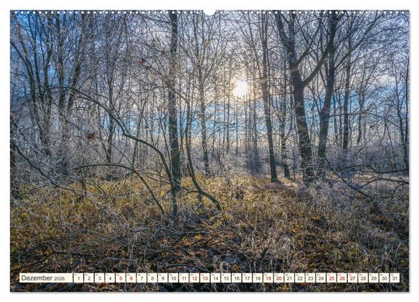 Produktbild: Im Zauber der W&auml;lder (Wandkalender 2026 DIN A2 quer), CALVENDO Monatskalender