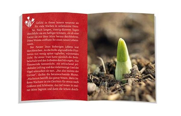 Produktbild: Das Märchen von der Tulpe