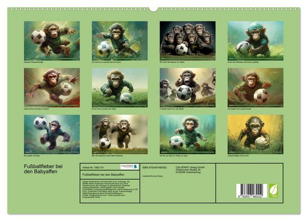 Produktbild: Fu&szlig;ballfieber bei den Babyaffen (hochwertiger Premium Wandkalender 2026 DIN A2 quer), Kunstdruck in Hochglanz