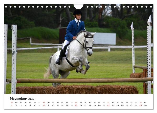 Produktbild: Pony Springreiten (Wandkalender 2026 DIN A4 quer), CALVENDO Monatskalender