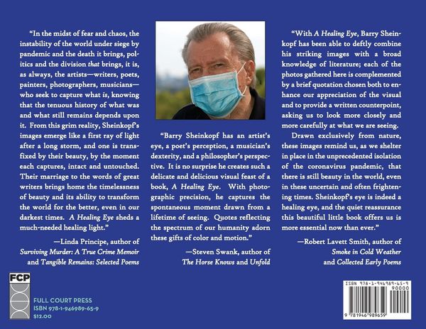 Produktbild: A Healing Eye