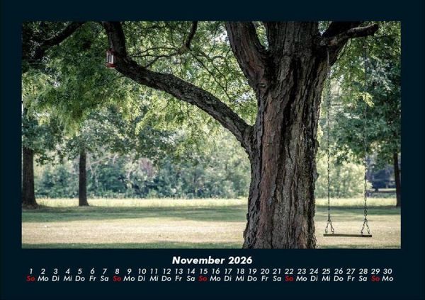 Produktbild: B&auml;ume 2026 Fotokalender DIN A4