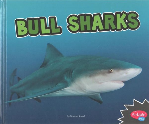 Produktbild: Bull Sharks