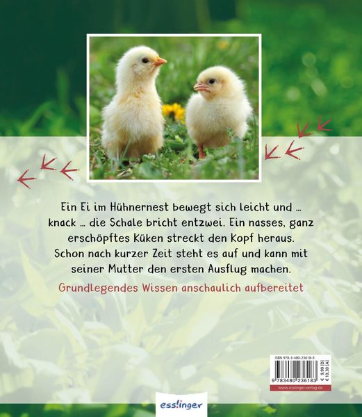 Produktbild: Meine gro&szlig;e Tierbibliothek: Das Huhn