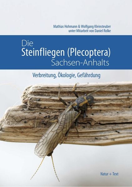 Die Steinfliegen (Plecoptera) Sachsen-Anhalts, Gebundene Ausgabe von Mathias Hohmann,Wolfgang Kleinsteuber, Natur & Text, 978-3-942062-77-0