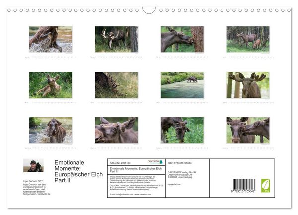 Produktbild: Emotionale Momente: Europ&auml;ischer Elch Part II (Wandkalender 2026 DIN A3 quer), CALVENDO Monatskalender