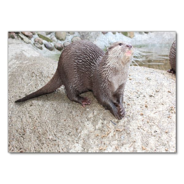 Produktbild: Lais Puzzle Otter 500 Teile