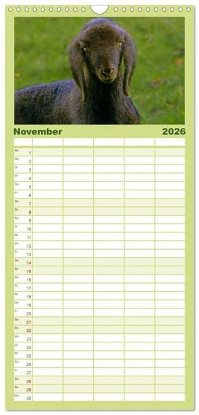 Produktbild: Familienplaner 2026 - Muh, M&auml;h, Miau & Co mit 5 Spalten (Wandkalender, 21 x 45 cm) CALVENDO