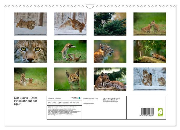 Produktbild: Der Luchs - Dem Pinselohr auf der Spur (Wandkalender 2026 DIN A3 quer), CALVENDO Monatskalender