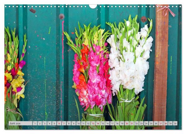 Produktbild: Farbenfrohes Bangladesch (Wandkalender 2026 DIN A3 quer), CALVENDO Monatskalender