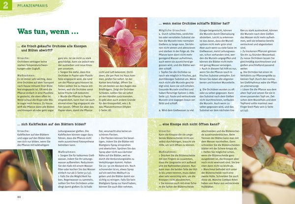 Produktbild: Orchideen pflegen