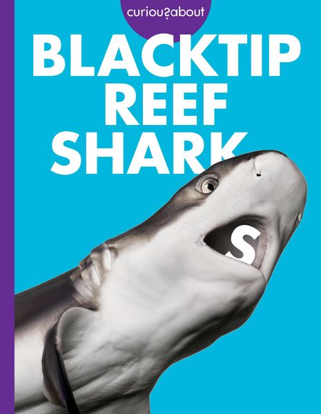 Produktbild: Curious about Blacktip Reef Sharks