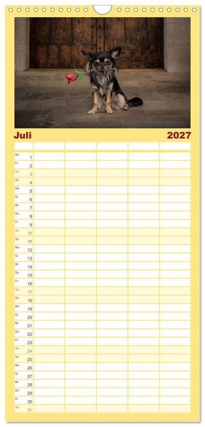 Produktbild: Familienplaner 2027 - Chihuahuas - Cool and Cute mit 5 Spalten (Wandkalender, 21 x 45 cm) CALVENDO
