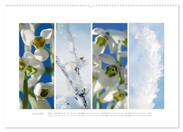 Produktbild: Gartenfreude (Wandkalender 2026 DIN A2 quer), CALVENDO Monatskalender