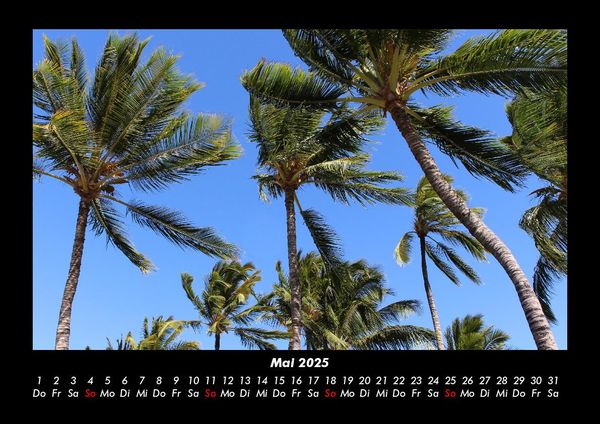 Produktbild: Palmentraum 2025 Fotokalender DIN A3