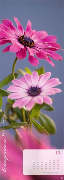 Produktbild: Magic Flowers Vertical Kalender 2027