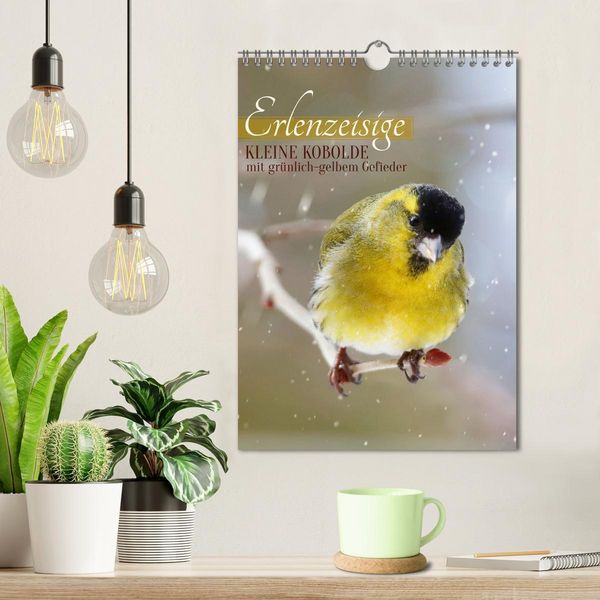 Produktbild: Erlenzeisige, kleine Kobolde (Wandkalender 2026 DIN A4 hoch), CALVENDO Monatskalender