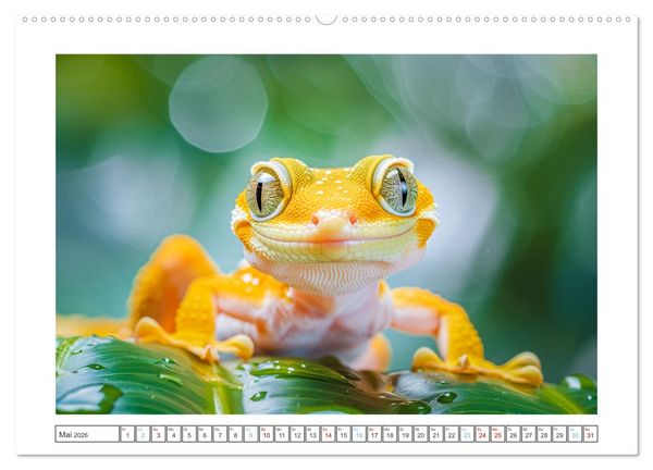 Produktbild: Kleine Echsen haben Spass (Wandkalender 2026 DIN A2 quer), CALVENDO Monatskalender
