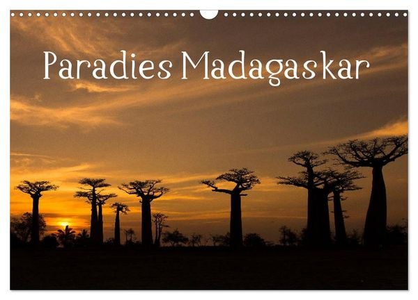 Produktbild: Paradies Madagaskar (Wandkalender 2026 DIN A3 quer), CALVENDO Monatskalender