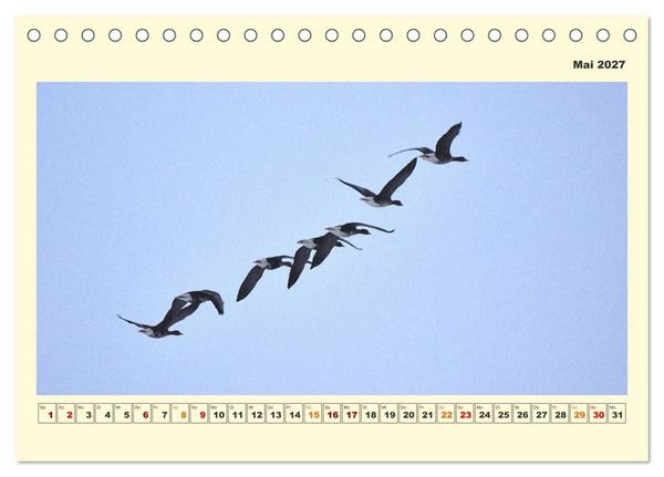 Produktbild: Tierwelt der W&uuml;mmeniederung (Tischkalender 2027 DIN A5 quer), CALVENDO Monatskalender