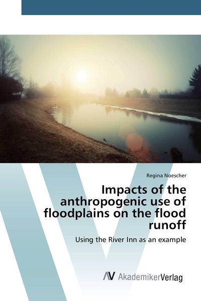 Produktbild: Impacts of the anthropogenic use of floodplains on the flood runoff